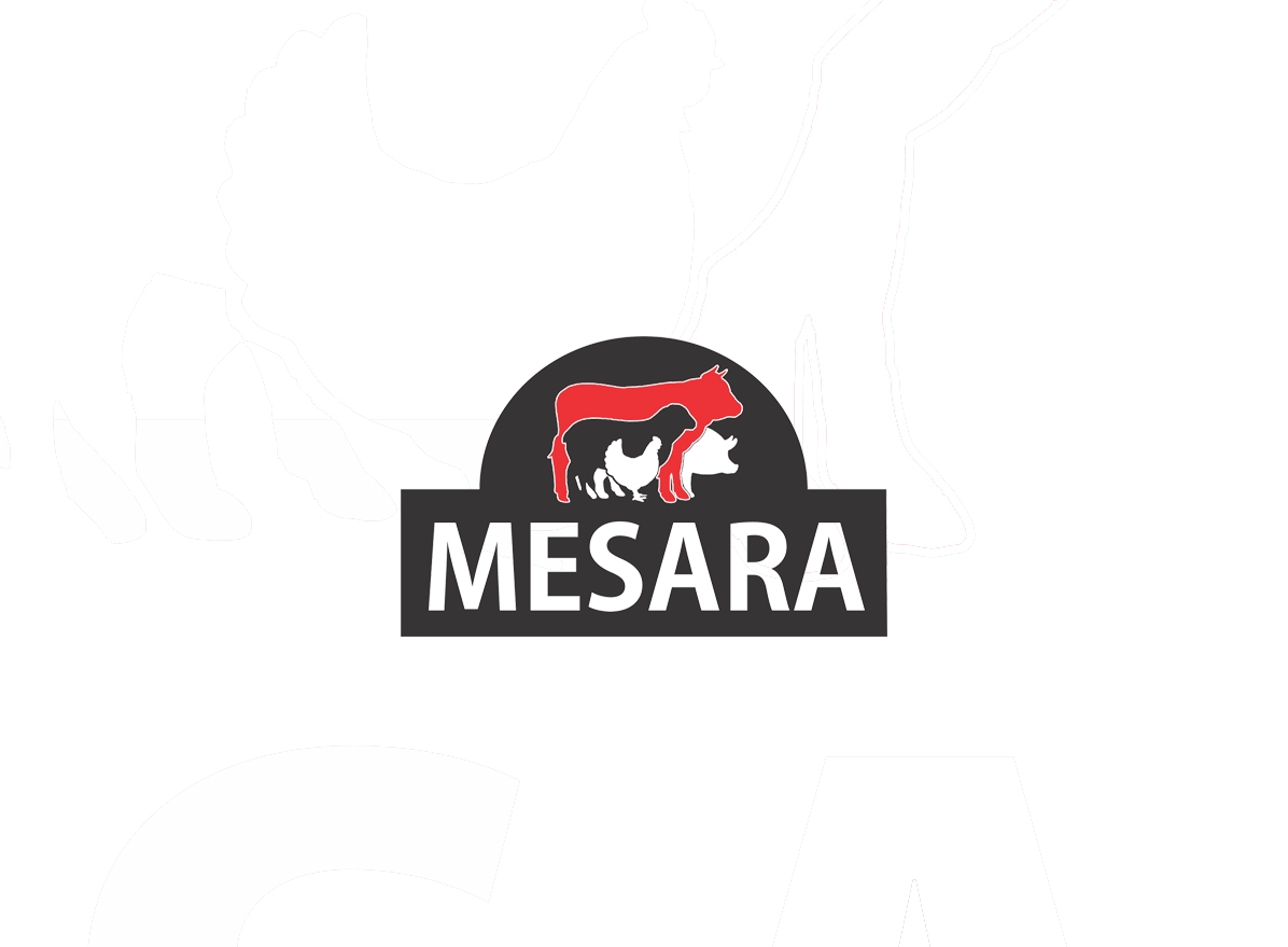 Company image